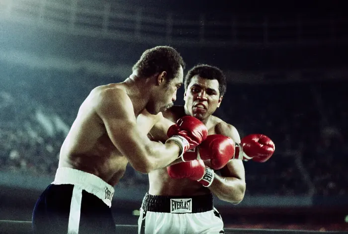 Framed Print : Boxers Ken Norton and Muhammad Ali Fighting Framed Print : Boxers Ken Norton and Muhammad Ali Fighting