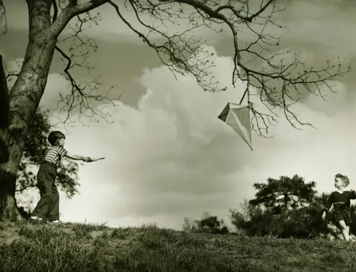 Framed Print : Boy (6-7) flying kite in park, (B&W) Framed Print : Boy (6-7) flying kite in park, (B&W)