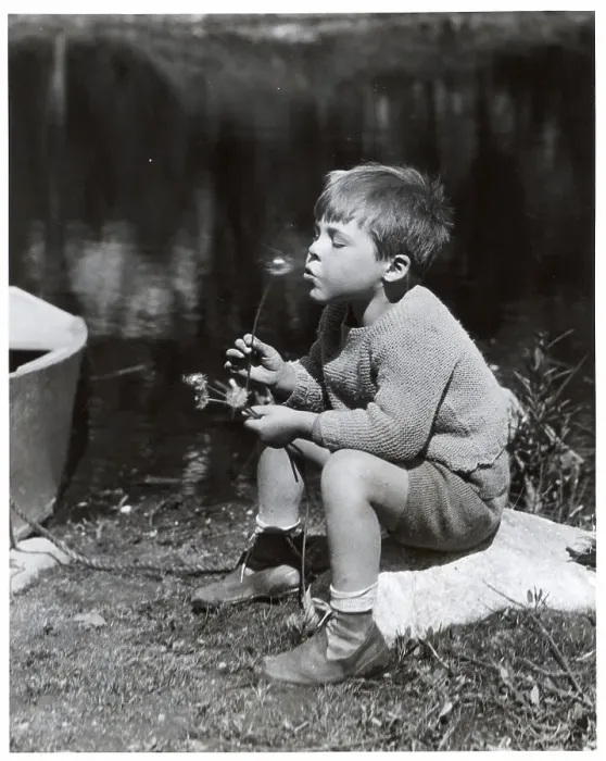 Framed Print : Boy Blowing a Dandelion