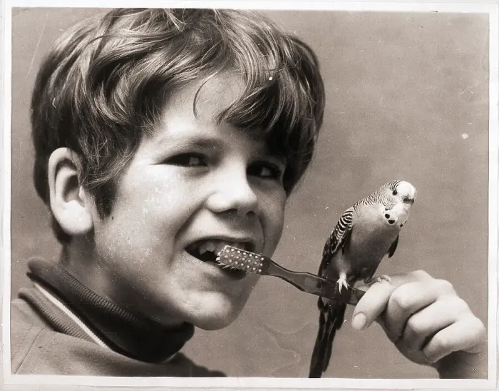 Framed Print : Boy Brushing Teeth with Bird on Toothbrush Framed Print : Boy Brushing Teeth with Bird on Toothbrush
