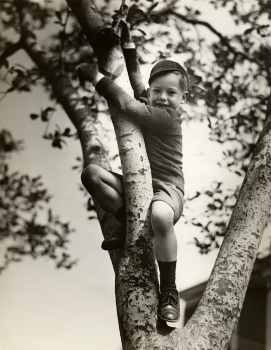 Framed Print : Boy climbing tree Framed Print : Boy climbing tree
