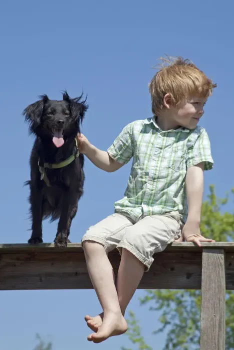 Framed Print : Boy with dog sitting on a fence Framed Print : Boy with dog sitting on a fence
