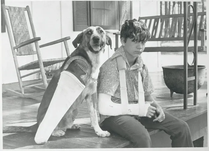 Framed Print : Boy and Dog Wearing Casts Framed Print : Boy and Dog Wearing Casts