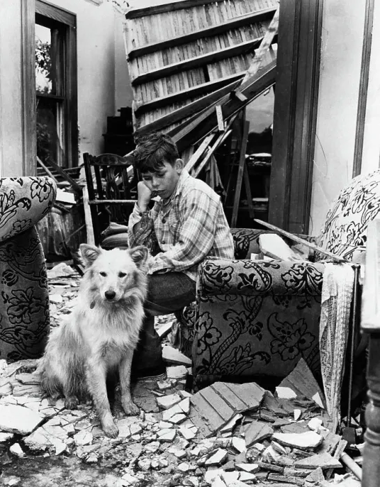 Framed Print : Boy And Dog In Wreckage Of Home Framed Print : Boy And Dog In Wreckage Of Home