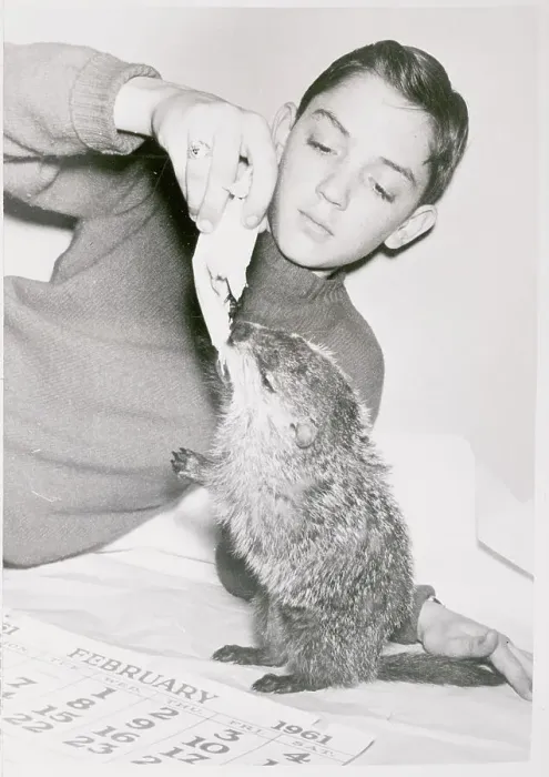 Framed Print : Boy Feeding a Groundhog Framed Print : Boy Feeding a Groundhog