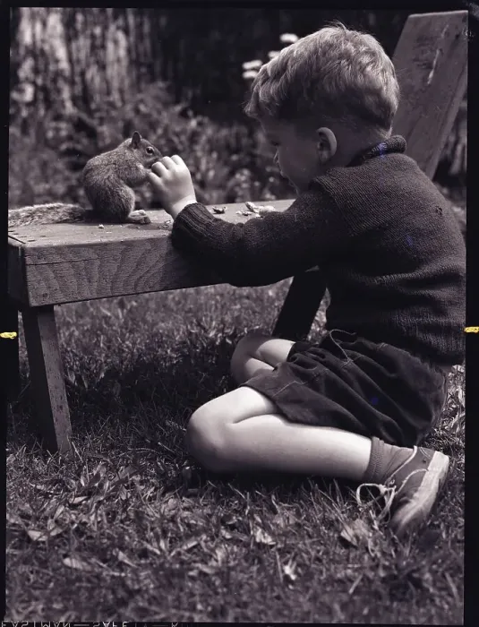 Framed Print : Boy Feeding Squirrel