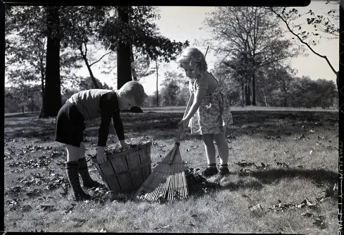 Framed Print : Boy And Girl Rake Leaves