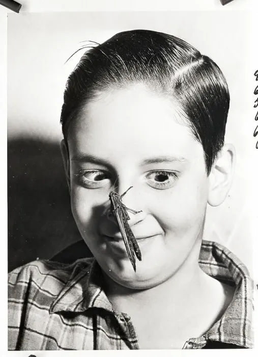 Framed Print : Boy With Grasshopper on His Nose Framed Print : Boy With Grasshopper on His Nose