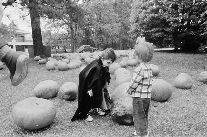 Framed Print : Boy in Halloween Costume Surrounded by Pumpkins Framed Print : Boy in Halloween Costume Surrounded by Pumpkins