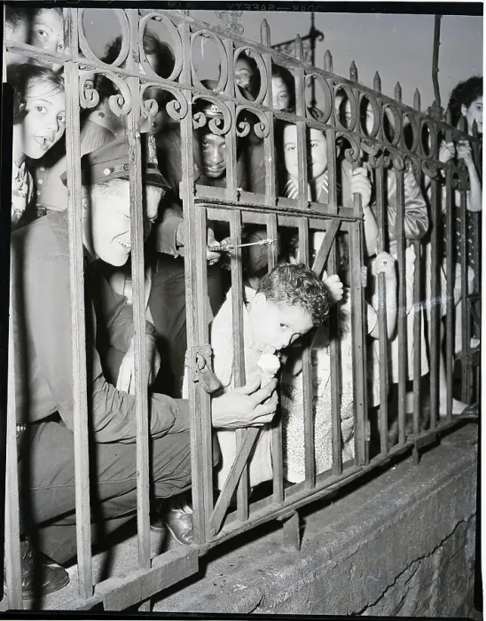 Framed Print : Boy With Head Stuck In Fence Eats Ice Cr Framed Print : Boy With Head Stuck In Fence Eats Ice Cr