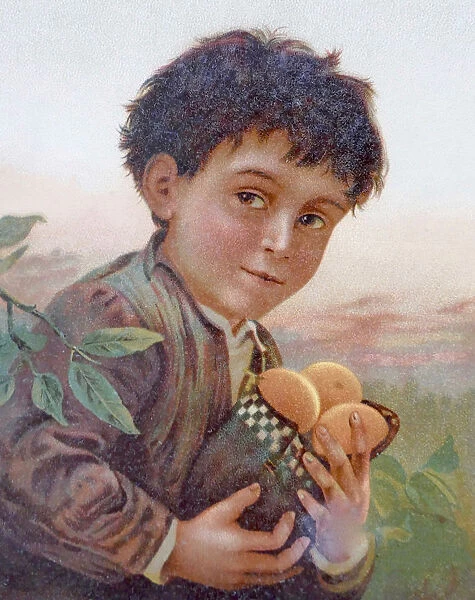 Boy holding a bag filled with fruits