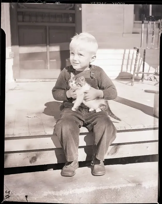 Framed Print : Boy Holding Kitten Framed Print : Boy Holding Kitten