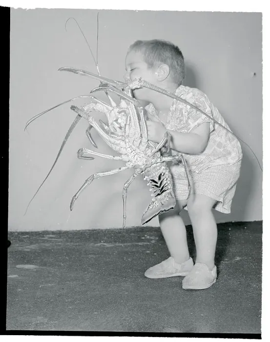 Framed Print : Boy Holding Lobster Framed Print : Boy Holding Lobster