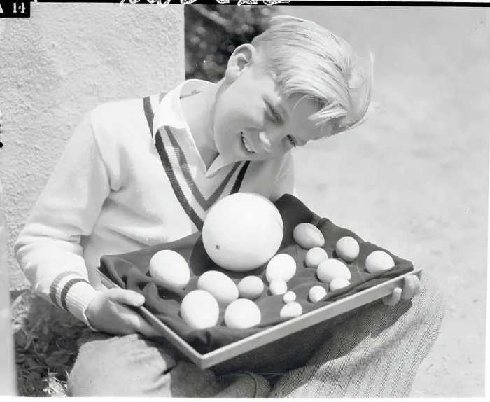 Framed Print : Boy Holding Rare Bird Eggs Framed Print : Boy Holding Rare Bird Eggs