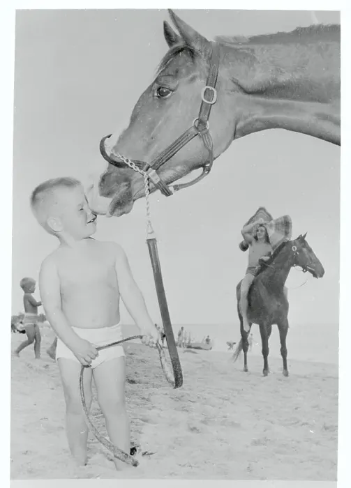 Framed Print : Boy with Horse Framed Print : Boy with Horse