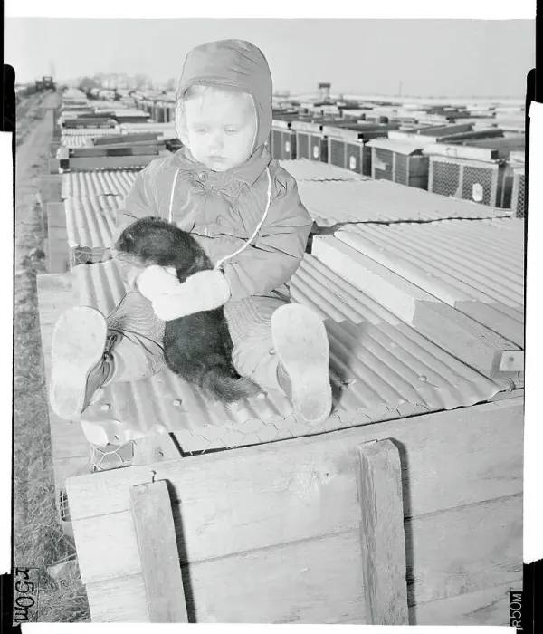 Framed Print : Boy Hugging a Mink Framed Print : Boy Hugging a Mink