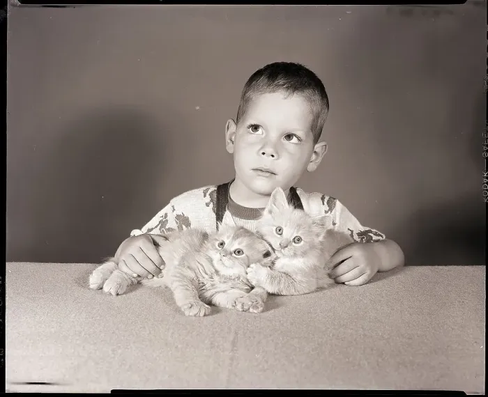Framed Print : Boy with Kittens Framed Print : Boy with Kittens
