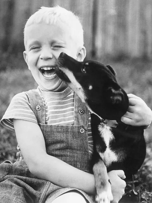 Framed Print : Boy Laughing as Dog Kisses His Face Framed Print : Boy Laughing as Dog Kisses His Face