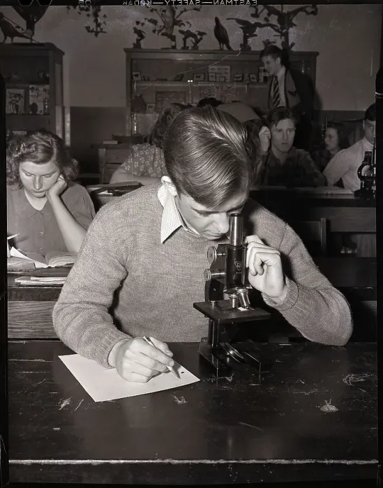 Framed Print : Boy Looking into Microscope Framed Print : Boy Looking into Microscope