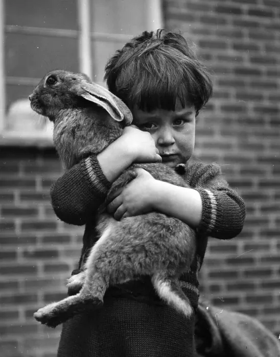 Framed Print : Boy With Pet Framed Print : Boy With Pet