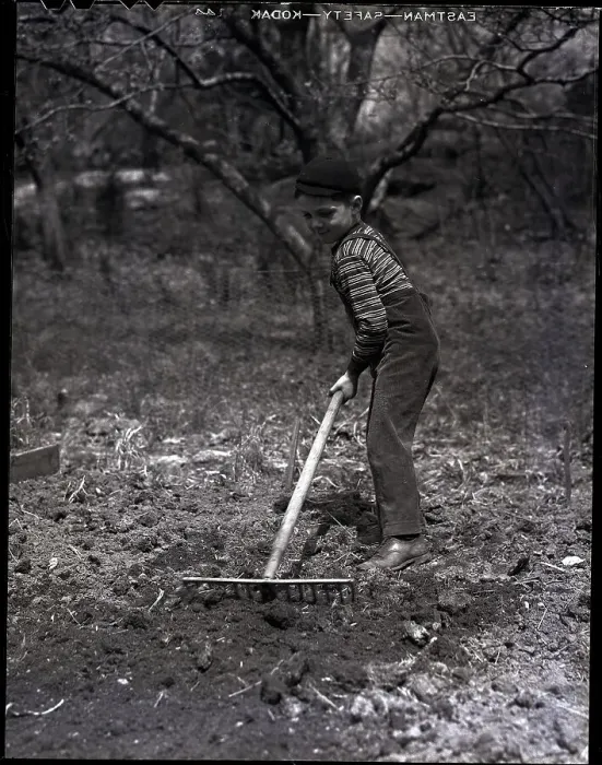 Framed Print : Boy Raking Garden