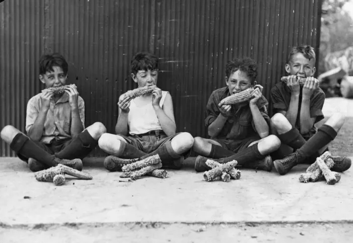 Framed Print : Boy Scout Corn-Eating Championship