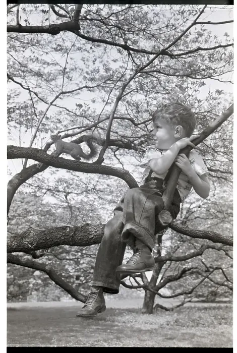 Framed Print : Boy Sitting In Tree With Squirrel Framed Print : Boy Sitting In Tree With Squirrel