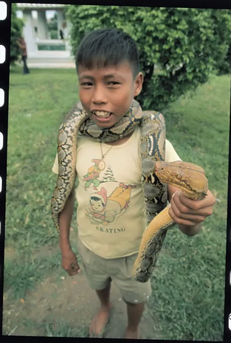 Framed Print : Boy with Snake Around His Neck Framed Print : Boy with Snake Around His Neck