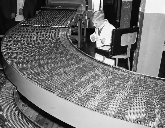 : Boy Standing Next to Assembly Line of Chocolate Candies : Boy Standing Next to Assembly Line of Chocolate Candies