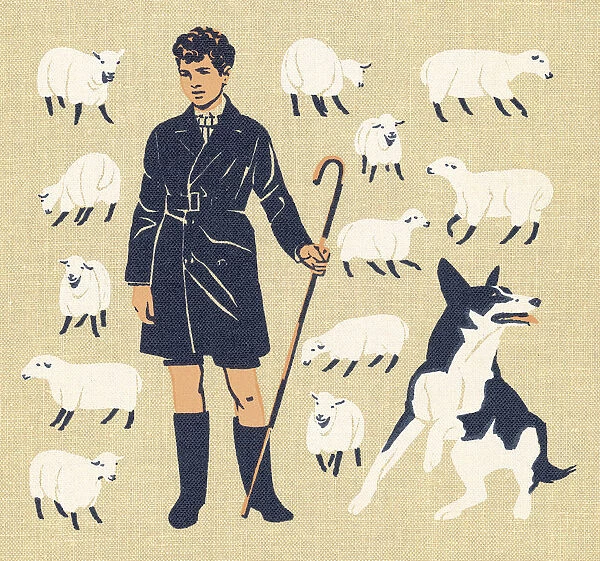 Boy Tending Sheep With Dog