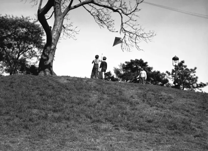 Framed Print : Two boys (10-11) flying kite on hill, (rear view), (B&W) Framed Print : Two boys (10-11) flying kite on hill, (rear view), (B&W)