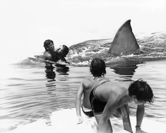 Framed Print : Jaws. Boys attempt to escape the shark in a scene from the film Jaws, 1975 Framed Print : Jaws. Boys attempt to escape the shark in a scene from the film Jaws, 1975