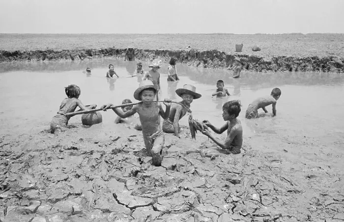 Framed Print : Boys Catching Fish from Rice Paddy Framed Print : Boys Catching Fish from Rice Paddy