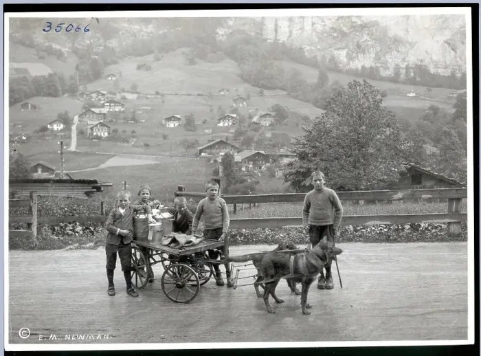 Framed Print : Boys Delivering Milk In A Lauterbrunner Framed Print : Boys Delivering Milk In A Lauterbrunner