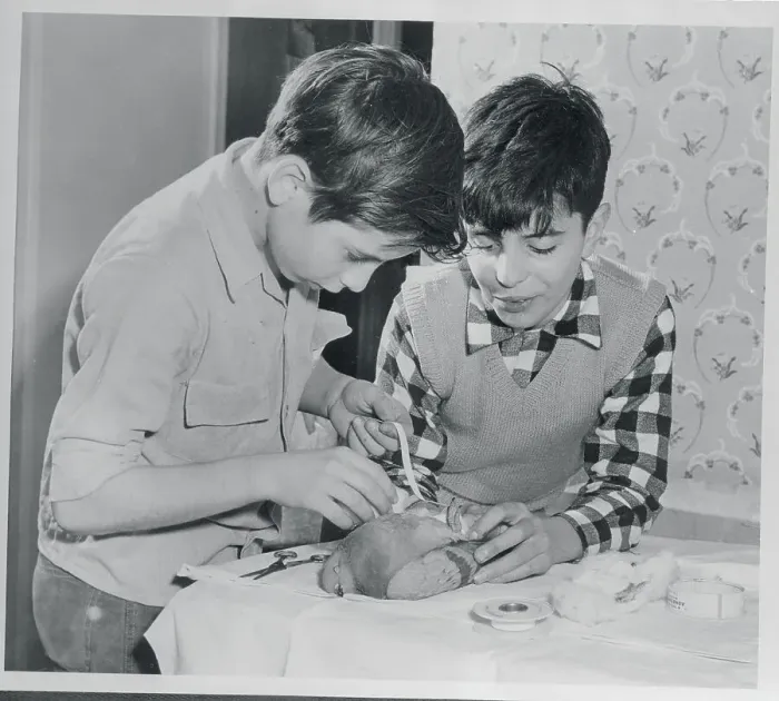 Framed Print : Boys with Pigeon