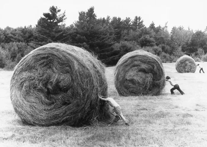 Framed Print : Boys Pushing Large Rolls of Hay Framed Print : Boys Pushing Large Rolls of Hay