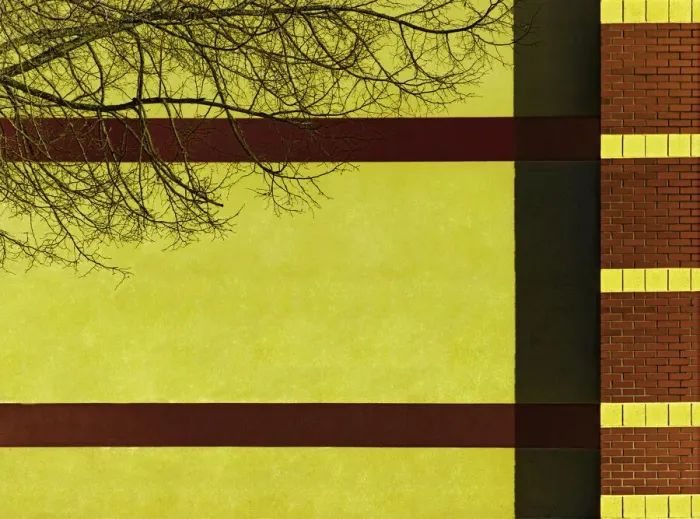 Framed Print : Branch By Brick Framed Print : Branch By Brick