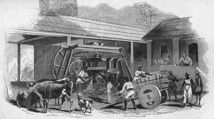 Framed Print : Brazilian Sugar Mill Framed Print : Brazilian Sugar Mill