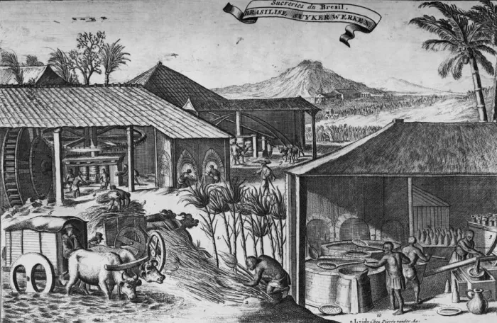 Framed Print : Brazilian Sugar Factory
