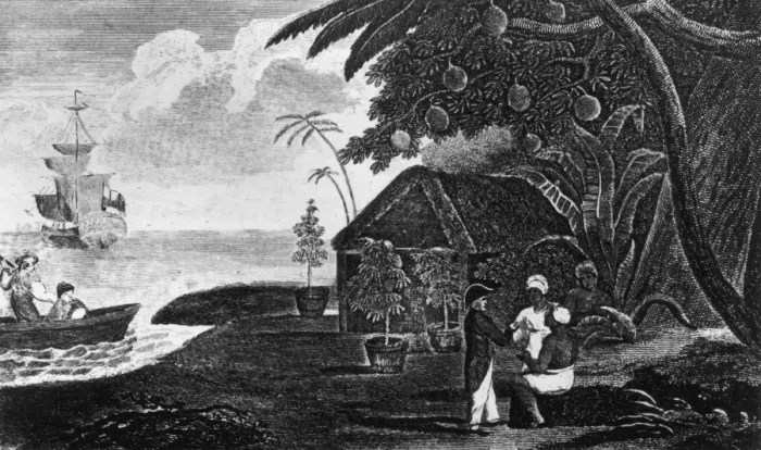 Framed Print : The Breadfruit Tree Framed Print : The Breadfruit Tree