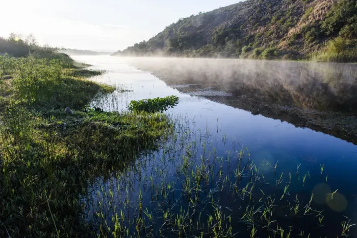 Framed Print : Breede River at Dawn in the Bontebok National Park Framed Print : Breede River at Dawn in the Bontebok National Park