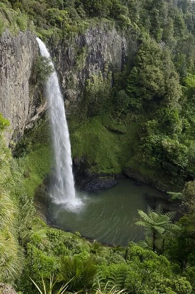 Bridal Veil Falls, Raglan, Waikato, North Island, New Zealand