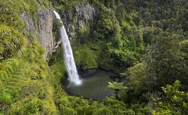 Bridal Veil Falls surrounded by dense rainforest, Raglan, Waikato, North Island, New Zealand - IMPORTANT non exclusive usage, calendar, 2015, territory D, A, CH -