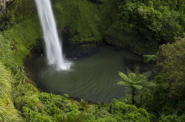Bridal Veil Falls surrounded by dense rainforest, Raglan, Waikato, North Island, New Zealand