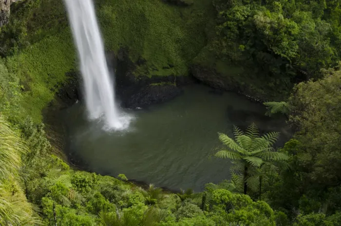 Framed Print : Bridal Veil Falls surrounded by dense rainforest, Raglan, Waikato, North Island, New Zealand Framed Print : Bridal Veil Falls surrounded by dense rainforest, Raglan, Waikato, North Island, New Zealand