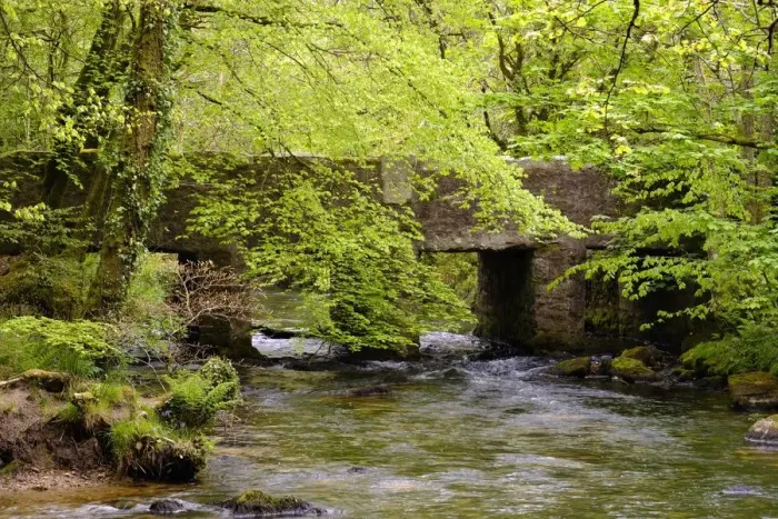 Framed Print : bridge, british, cornwall, creek, deciduous forest, english, forest brook, out, spring Framed Print : bridge, british, cornwall, creek, deciduous forest, english, forest brook, out, spring