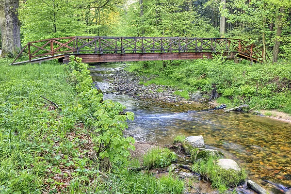 Bridge, Cerny potok or Black Creek, Velka Kras, Jesenik district, Olomoucky region, Czech Republic