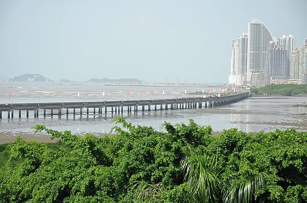 Bridge, Estuary, Forest, Skyscrapers, Panama City