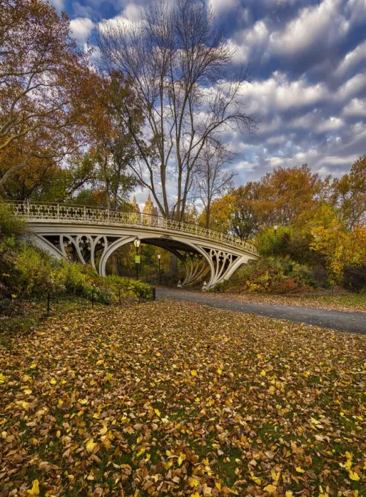 Framed Print : Bridge in New York Citys Central Park on a colorful autumn day Framed Print : Bridge in New York Citys Central Park on a colorful autumn day