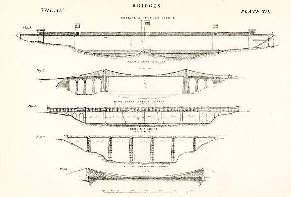 Bridges engraving 1877